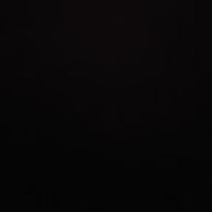 Meet your Posher, Nikisha